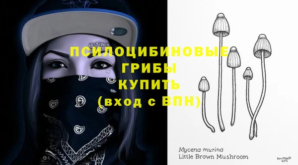каннабис Нефтекумск
