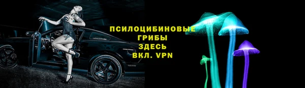 винт Нея