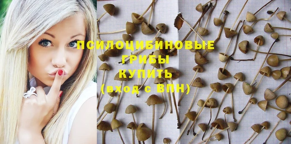 мяу мяу мука Нефтегорск