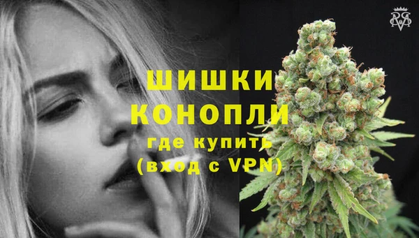 винт Нея