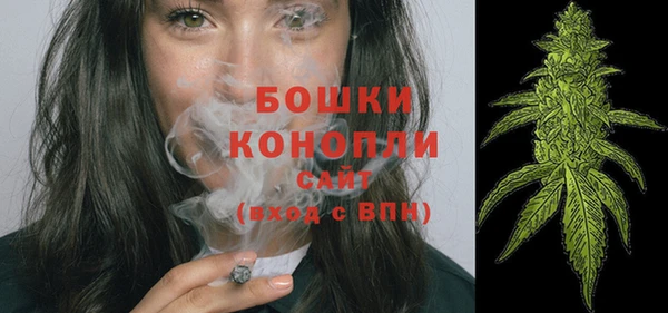 винт Нея
