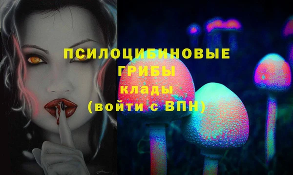 винт Нея