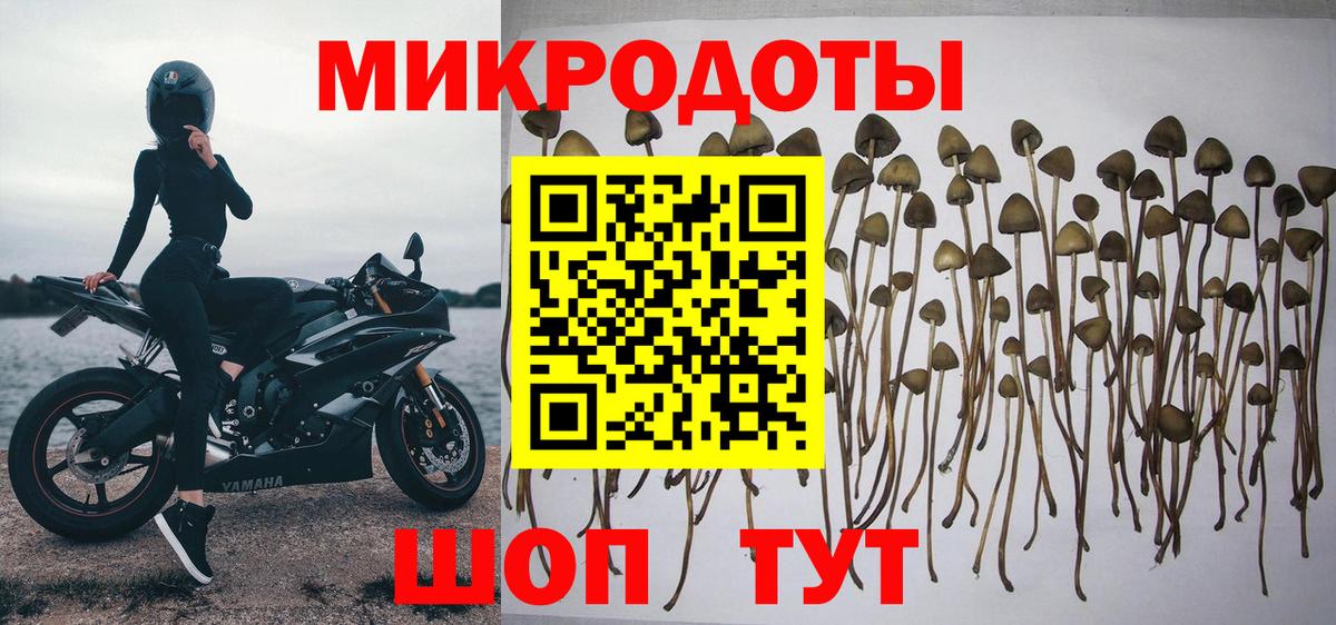 наркота  Галлюциногенные грибы MAGIC MUSHROOMS  Североморск  Вход с VPN  Галлюциногенные грибы ЛСД 