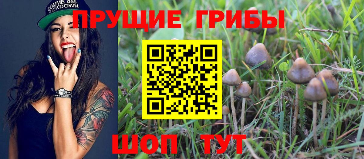 Галлюциногенные грибы прущие грибы Североморск